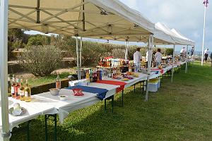 2016 08 15 AGDE-COMMEMORATION DU DEBARQUEMENT 1944 EN PROVENCE (43)